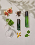 2-in-1 Cica Misting Toner