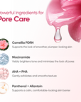 Camellia PDRN Pore Pads