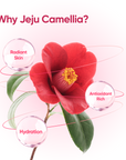 Camellia PDRN Pore Pads
